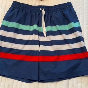 Chubbies Swimming Trunks.  Size large.